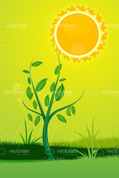 Nature Inspired Sun and Plant Card